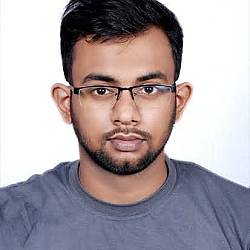 Junior Vanilla JS JSON South Asia Frontend Developer